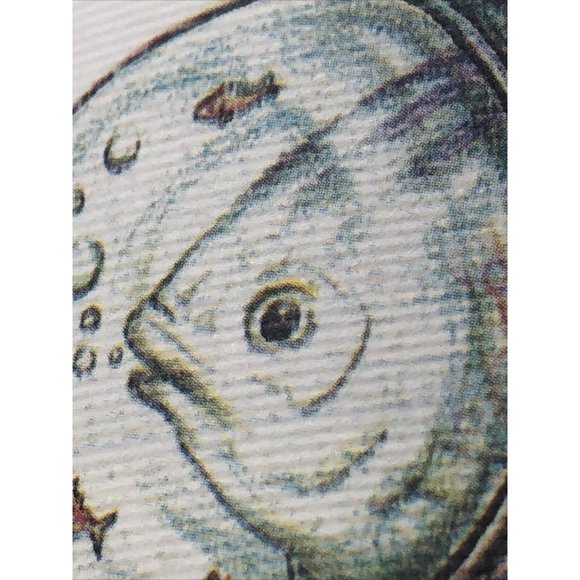 Luigi Serafini Codex Seraphinianus Print 83B - Picture 8 of 16